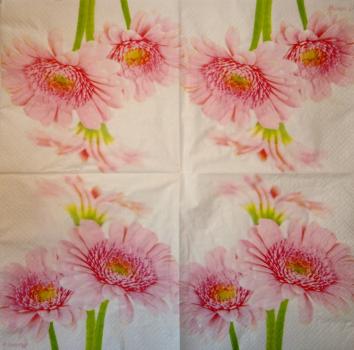 348 Margeriten - 3-lagig - CS